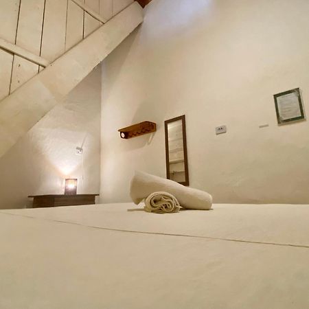 Tropicalia Hostel E Pousada イタカレ エクステリア 写真