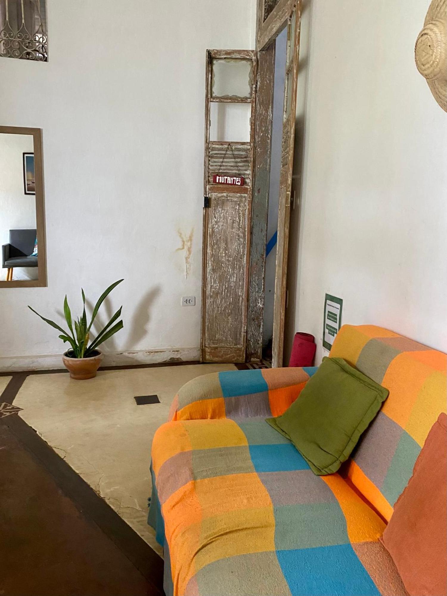 Tropicalia Hostel E Pousada イタカレ エクステリア 写真